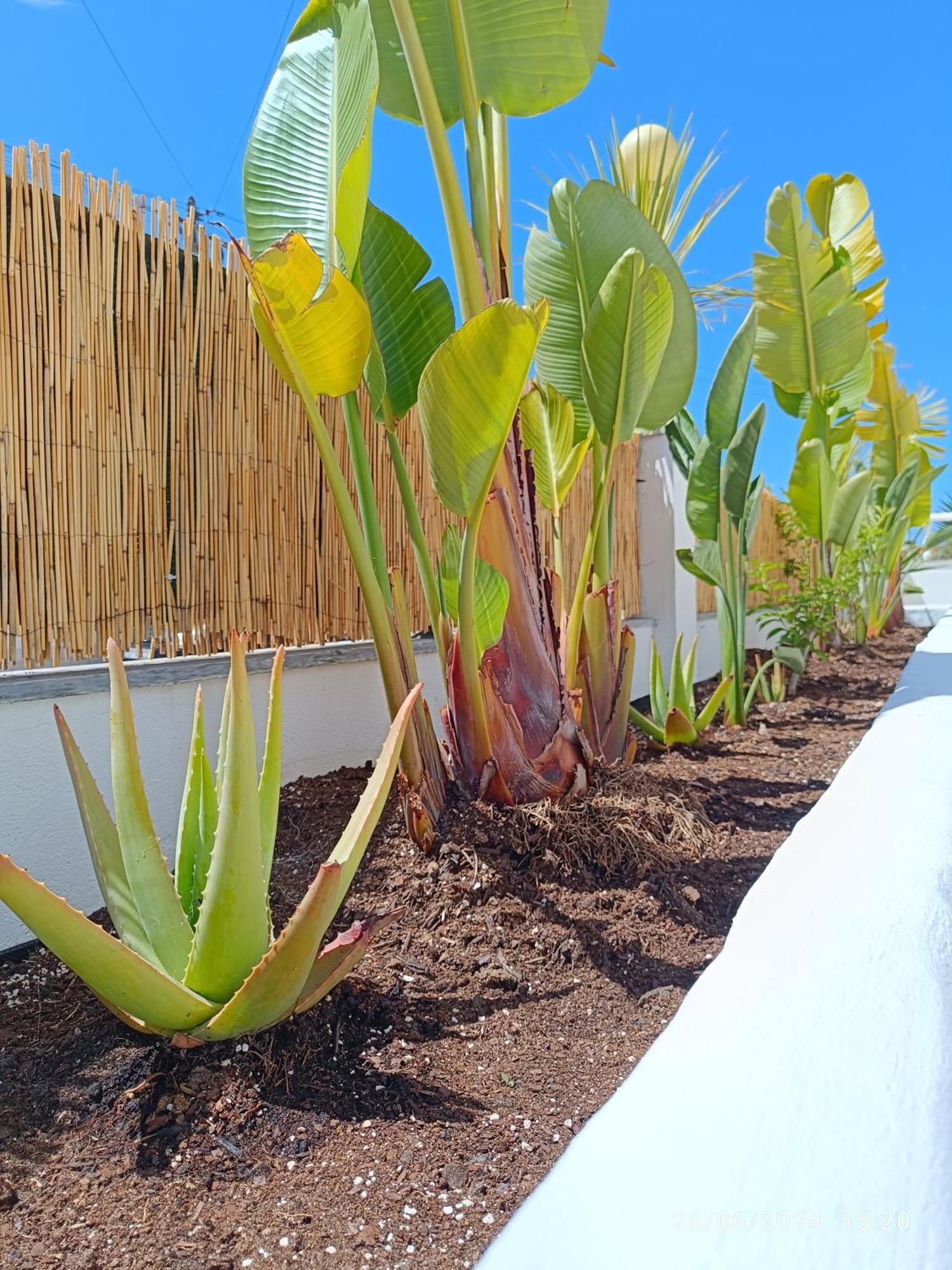 Bed and Breakfast Supertubos House Peniche Atouguia Da Baleia Exterior foto